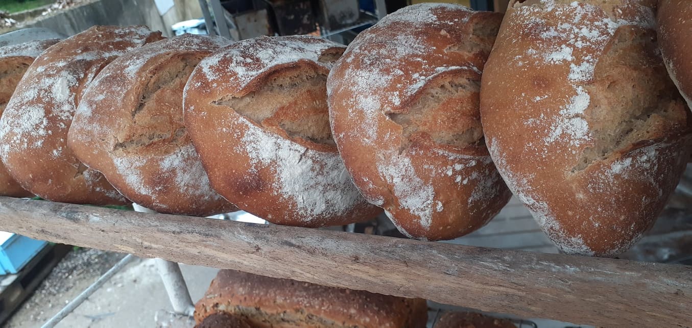 Photo d'une rangée de pains