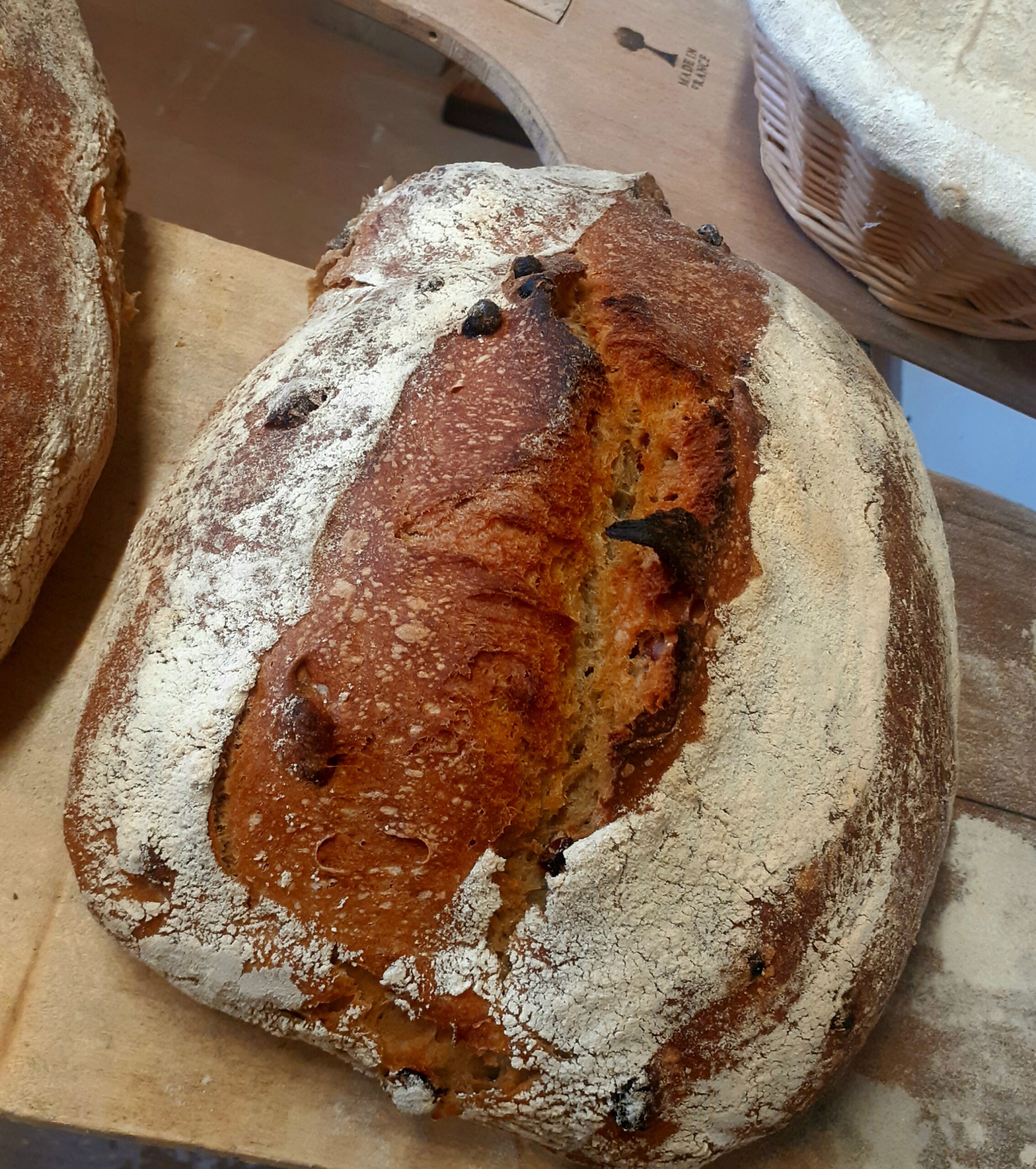 Pain du Voyageur – Image 2